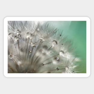 Silver Mint Dandelion Sticker